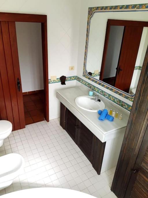 Apartamento Lavanda Коралео Екстериор снимка